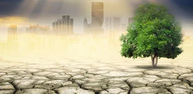 نشرة المنظمة عن جودة الهواء والمناخ تسلط الضوء على الحلقة المفرغة