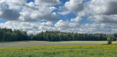  أغسطس أكثر دفئًا من المعتاد في لابلاند، والصيف ككل تميَّز بموجة حر قياسية وتقلبات جوية